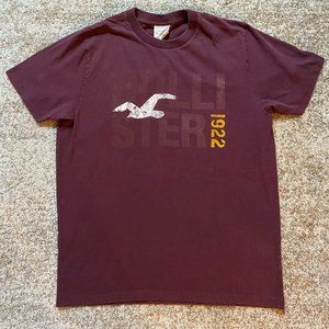 Vintage Hollister California Men's Short Sleeve T- Shirt Size Large
